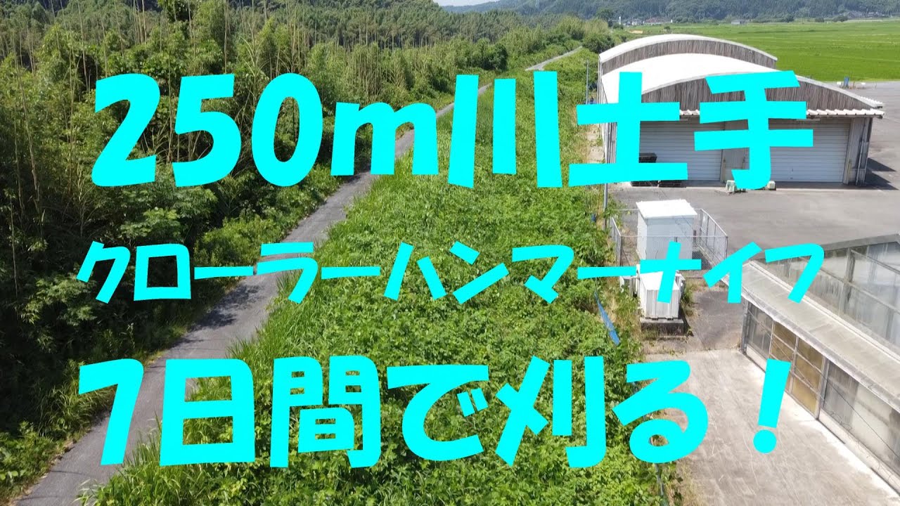 川土手250ｍ7日間の記録