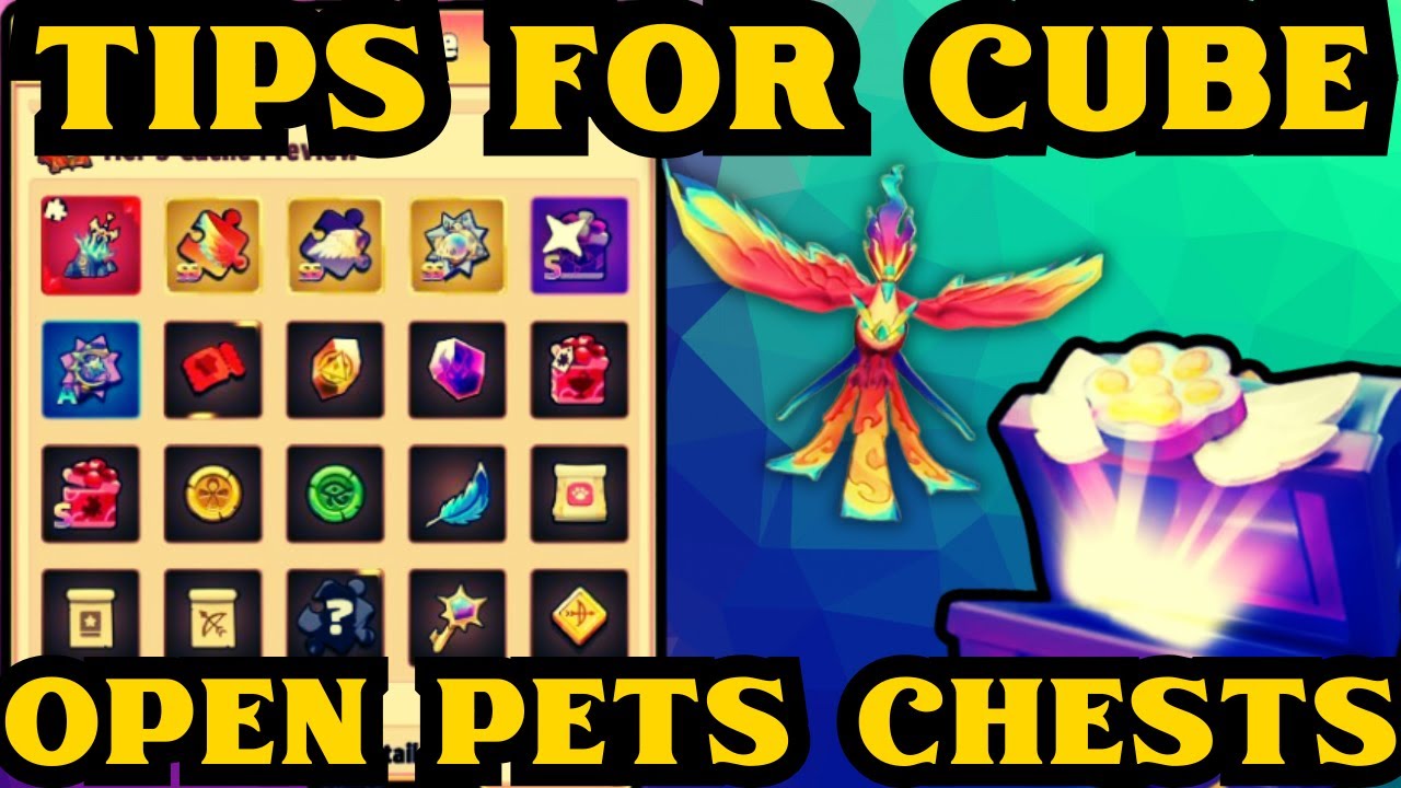 ARCHERO: TIPS FOR CUBE! BEST CUBE! OPEN PETS CHESTS! NEW PET!