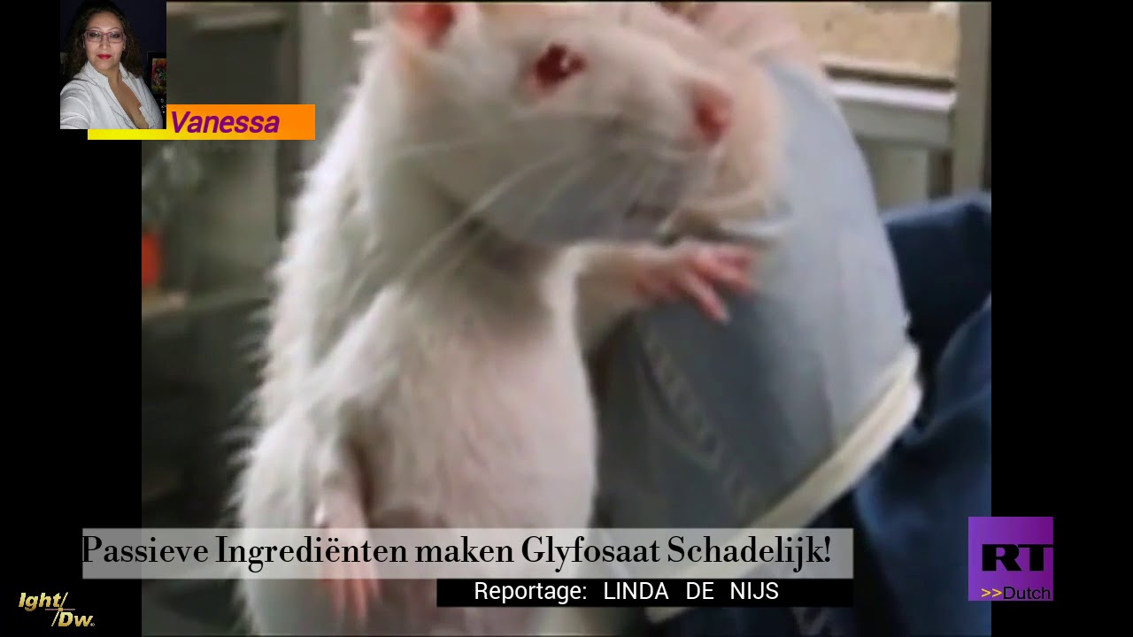 RT Dutch - Glyfosaat Schadelijk.
