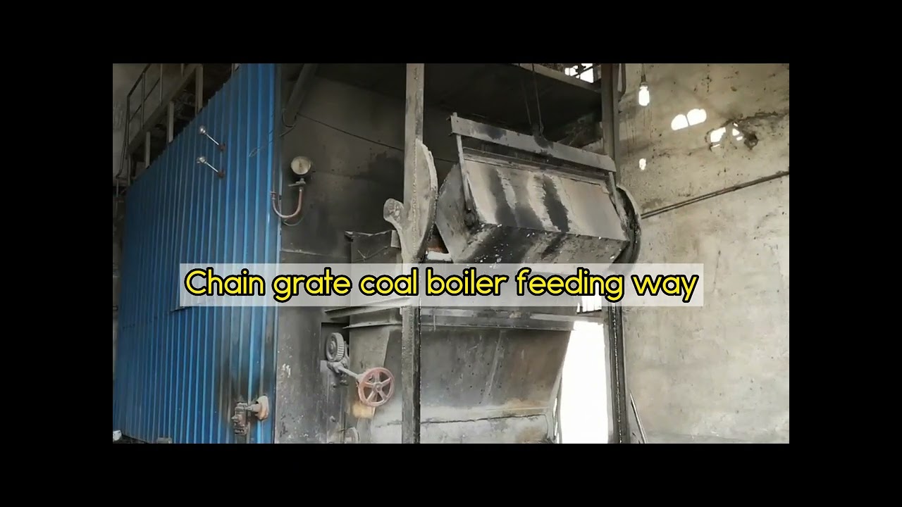 DZL SZL Chain Grate Coal Fired Boiler Feeding Way #coalboiler #chaingrateboiler #steamboiler #boiler