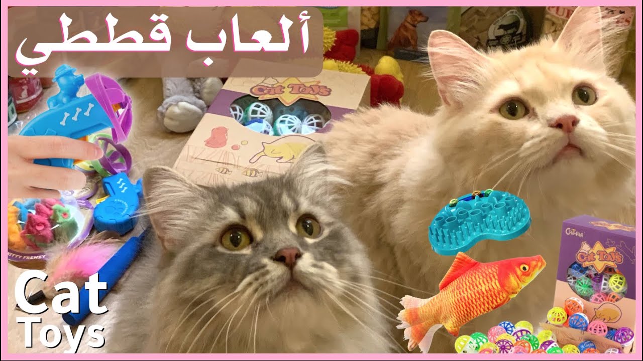 ألعاب القطط Cat Toys: سلسلة أغراض قططي