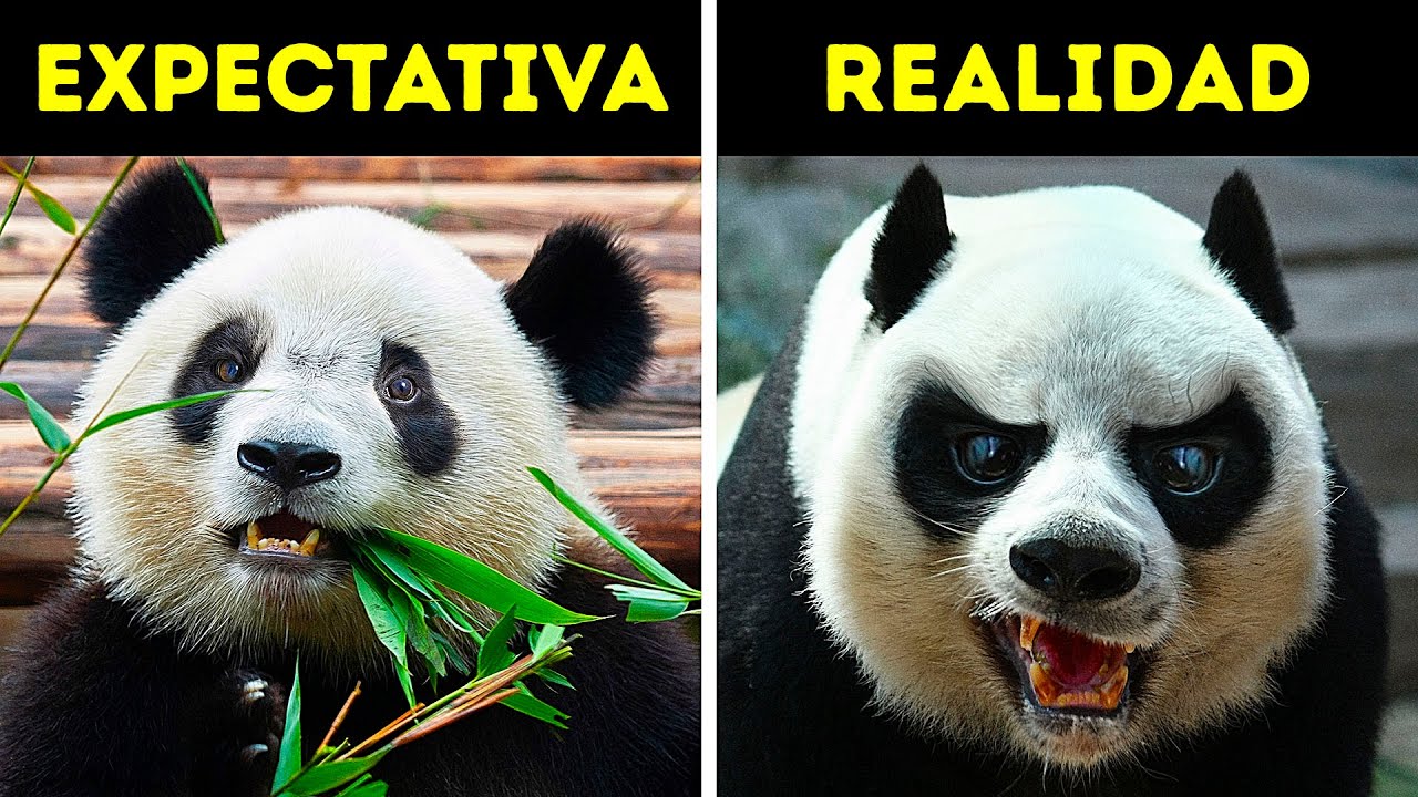 18 Animales tiernos que no son inofensivos en absoluto