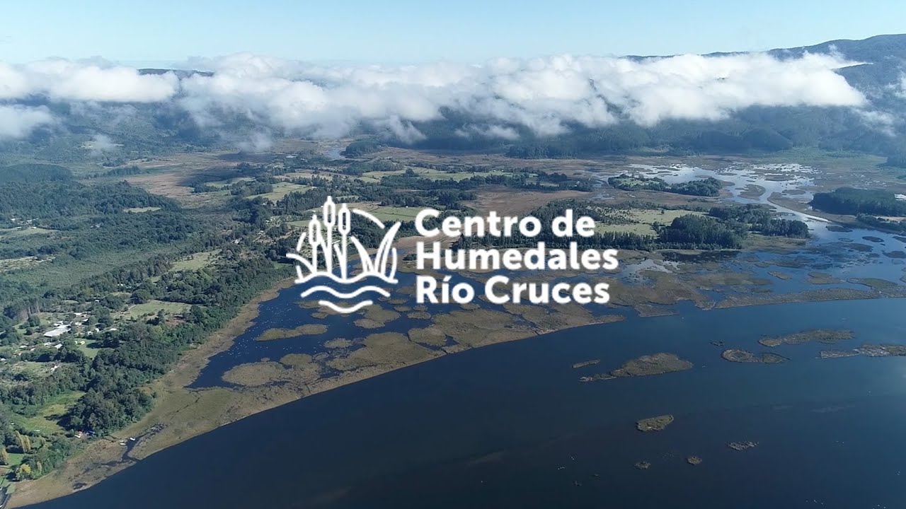 Fluvialito 2020: Centro de Humedales R&iacute;o Cruces