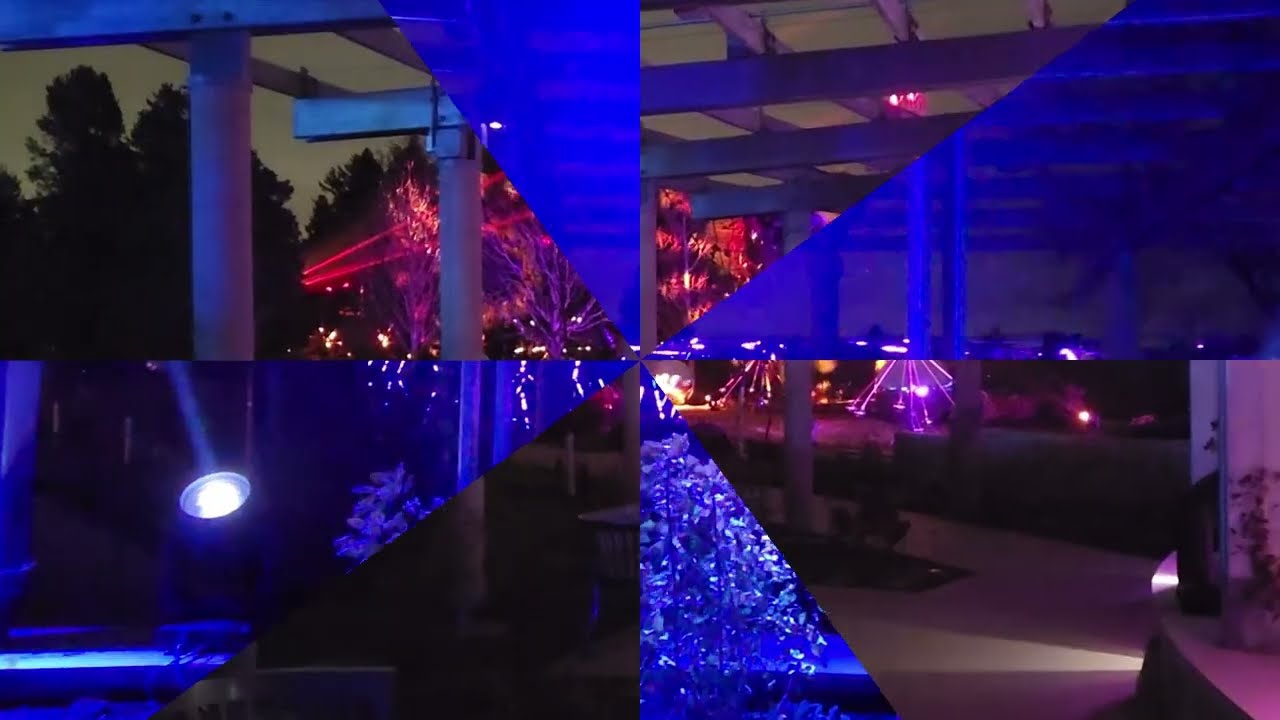 Morton Arboretum Illumination Tree Lights 12/2/22