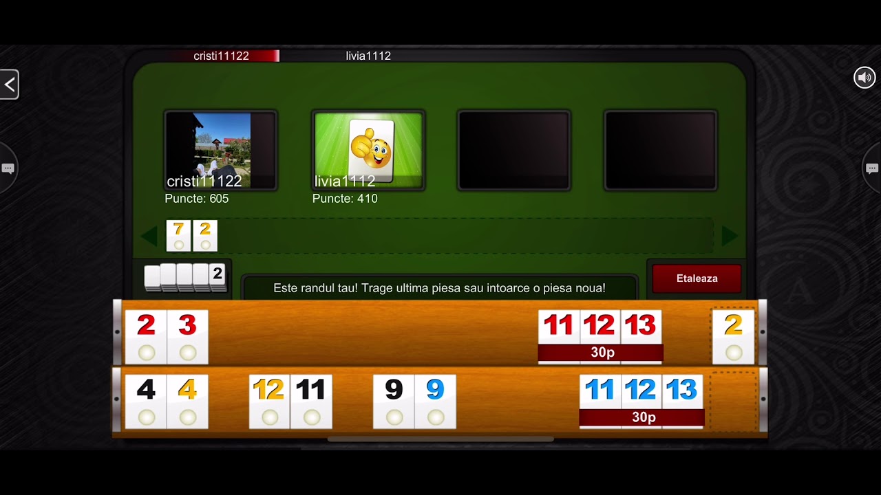 Rummy 45 / Remi / Remy - Iphone 11 pro