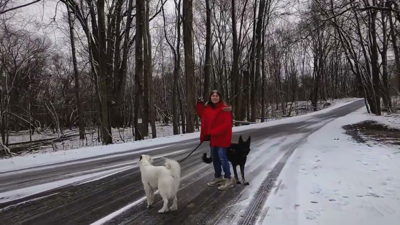 Fresh snowfall. 