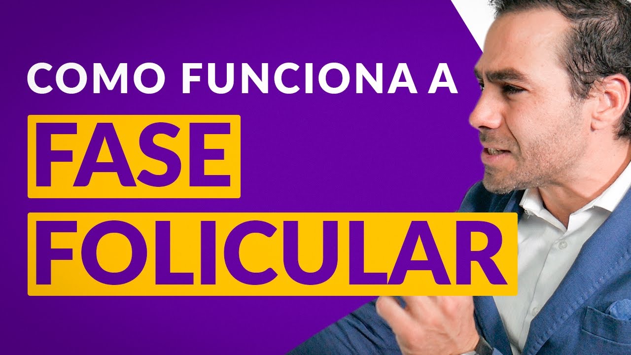 COMO FUNCIONA A FASE FOLICULAR | DR JULIO VOGET