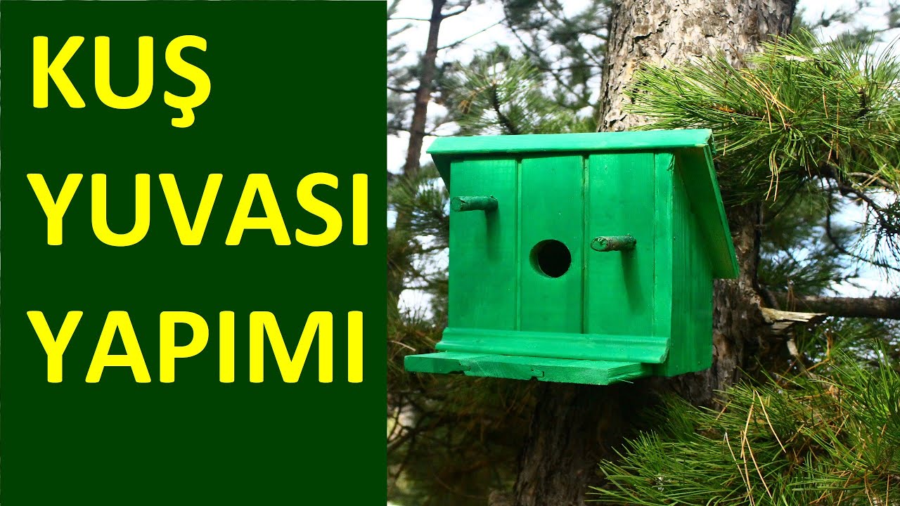 Kuş Yuvası Yapımı | Kırsalda Yaşam