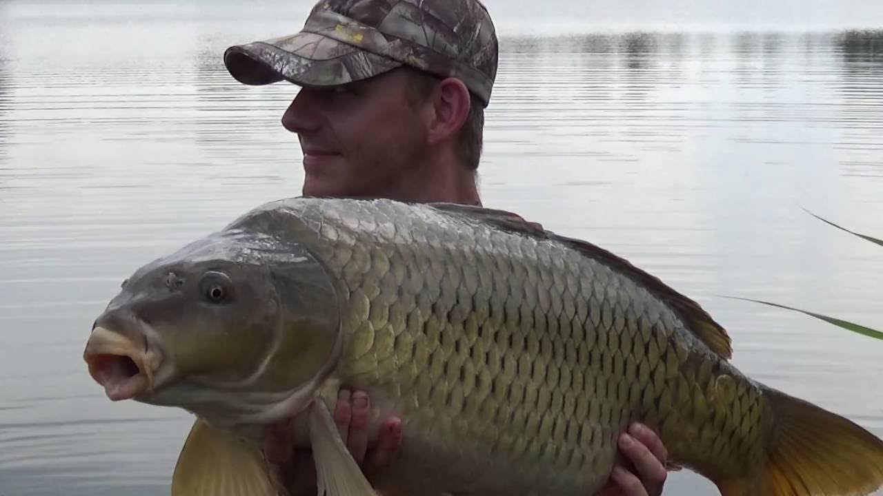 Rybařina &ndash; Seri&aacute;l JAK SE&hellip; chyt&aacute; položen&aacute; s olověnkou