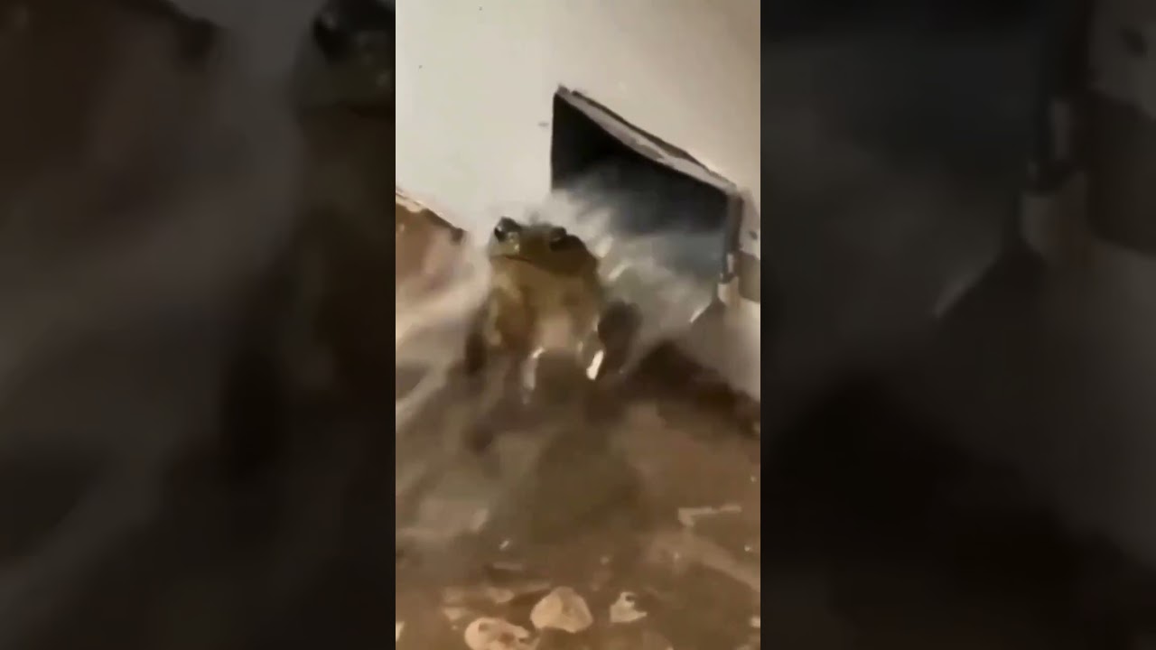 Into the Flood Again 