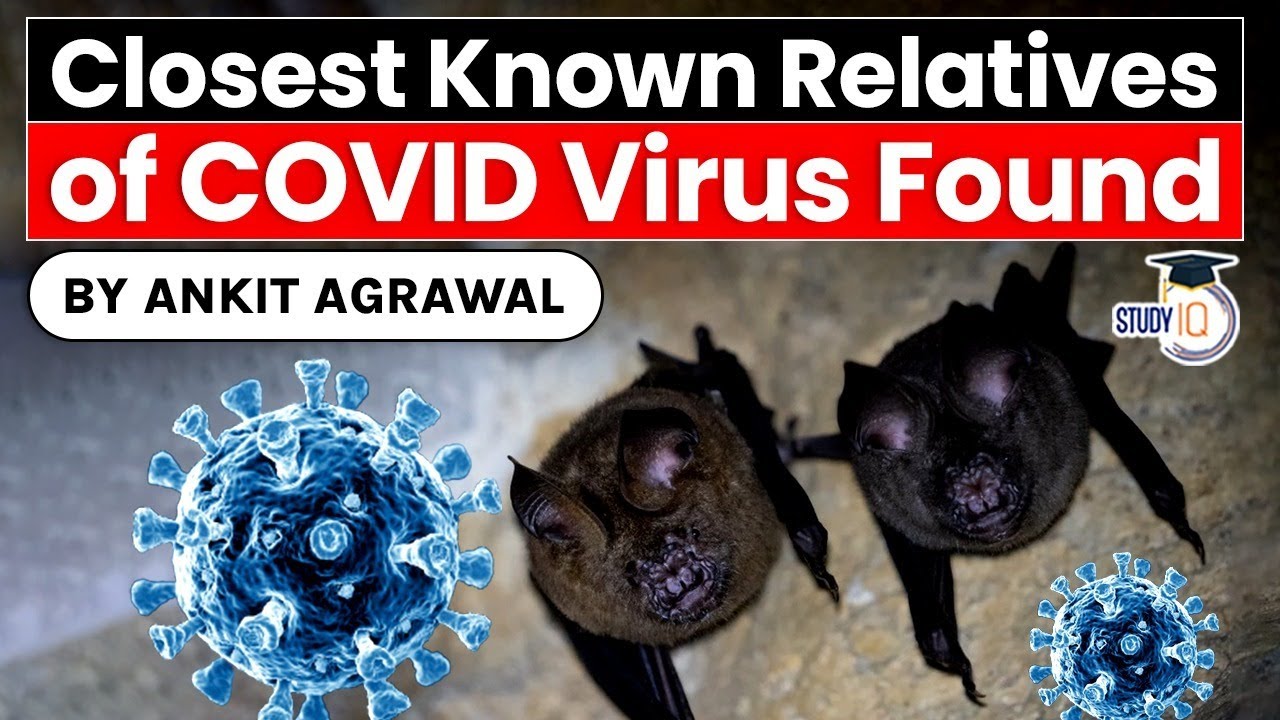 Scientists discovered closest known relatives of Coronavirus from Laos bats | Public Health UPSC