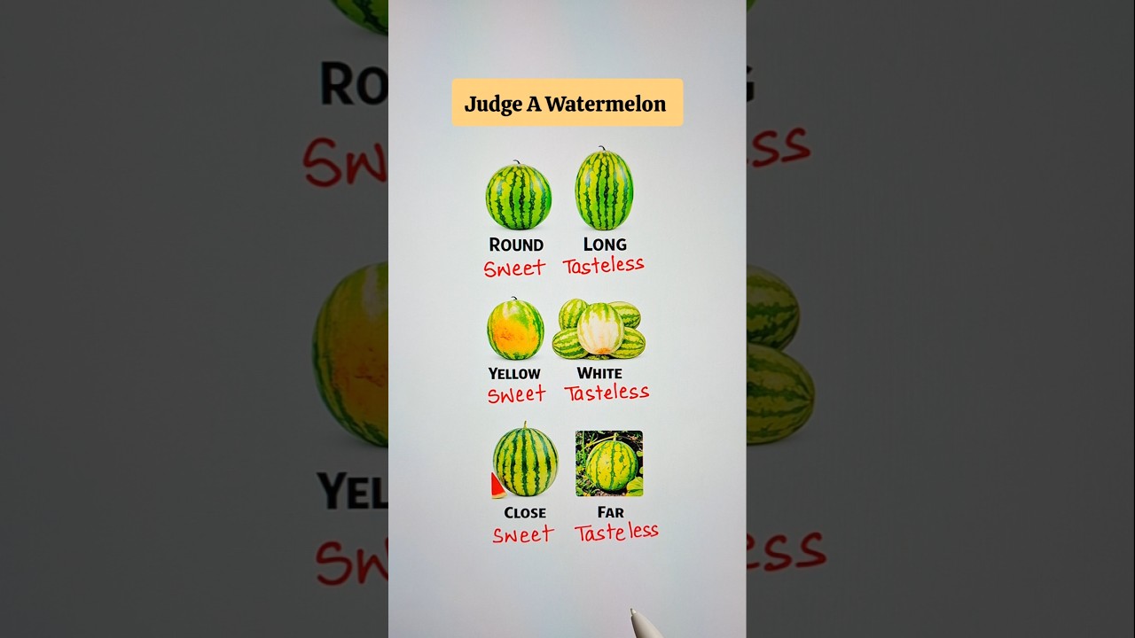 Как определить, какой арбуз 🔥 🤯