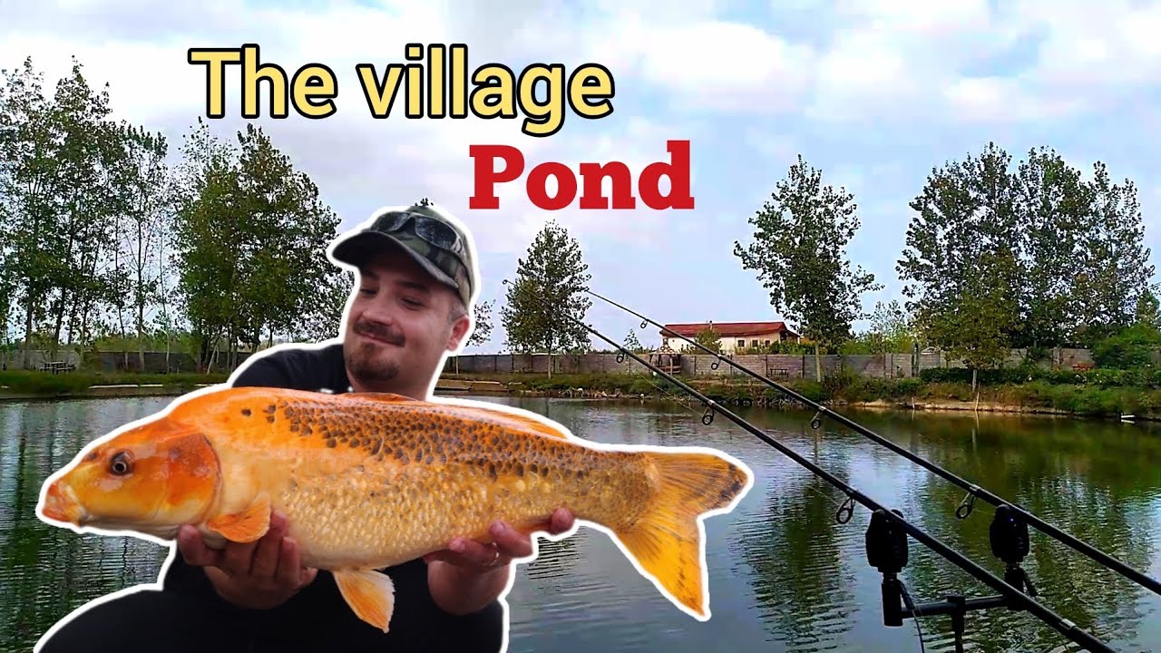 The Village pond, carpfishing in IRAN🇮🇷