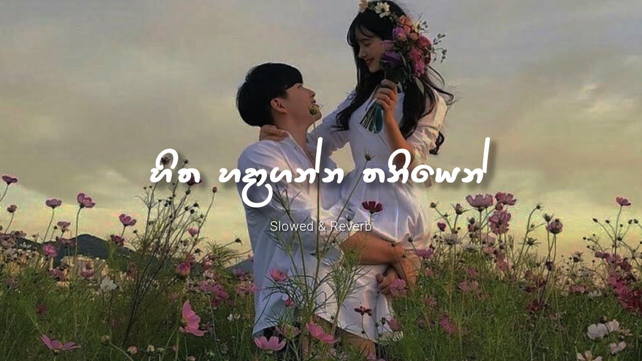 Hitha Hadaganna Thaniyen (Slowed & Reverb) හිත හදාගන්න තනියෙන්