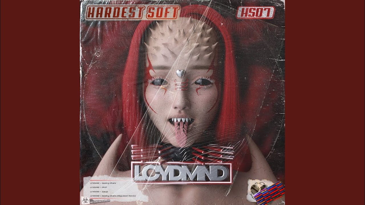 Seeing Stars (Disguised Remix)