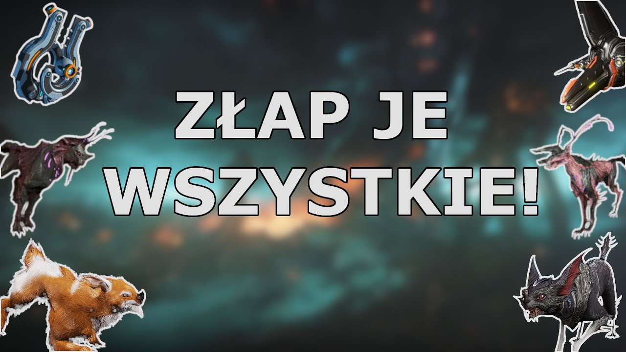 Warframe Towarzysze - Strażnik, Moa, Kubrow, Kavat, Lisafila, Predasyt