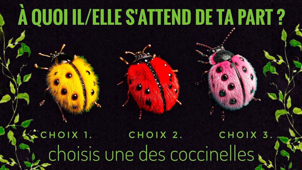 🐞🌈🍀 À quelle atitude il/elle s'attend de ta part ? 🍀🌈🐞