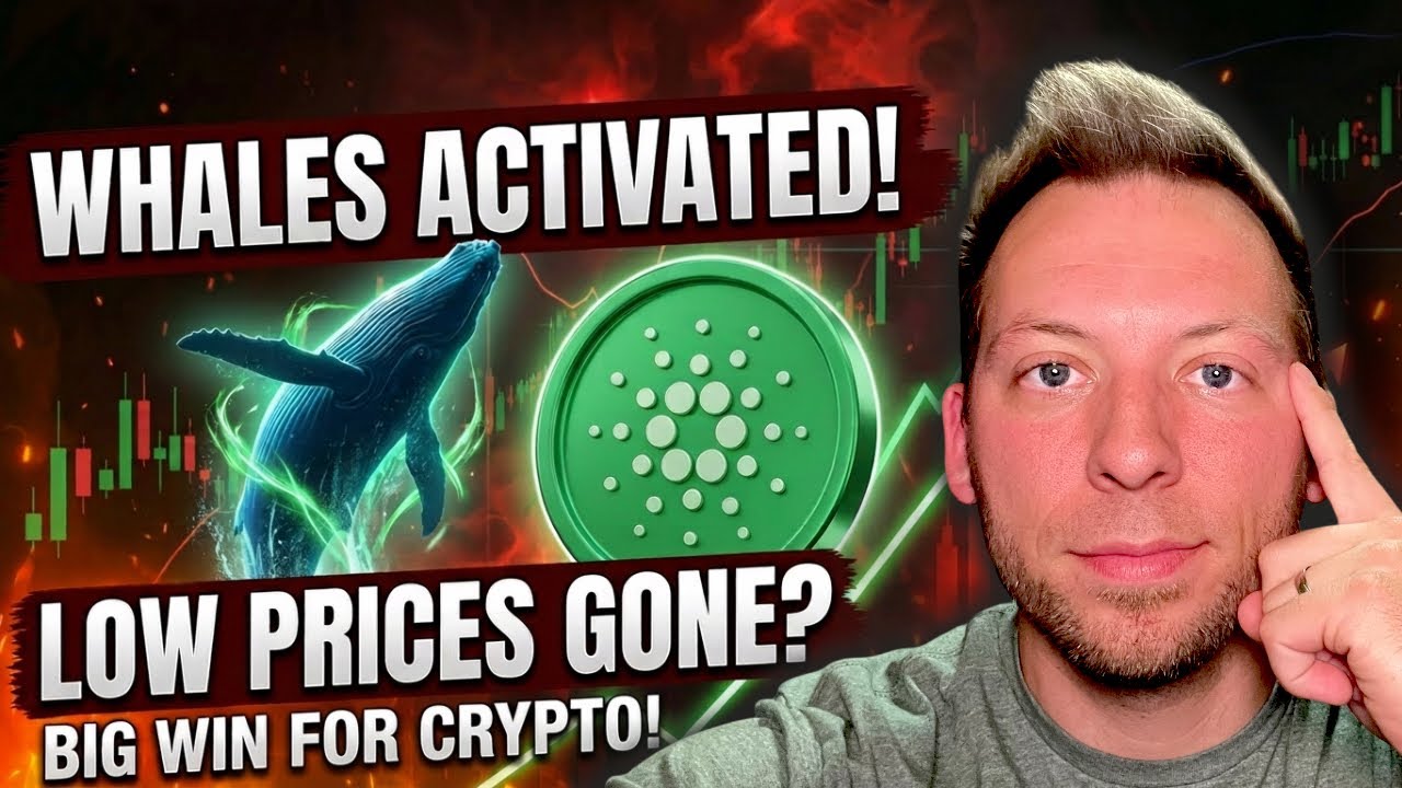 CARDANO ADA &mdash; Крупная победа для криптовалюты?! Кардано-киты активировались! Низкие цены ушли в п...