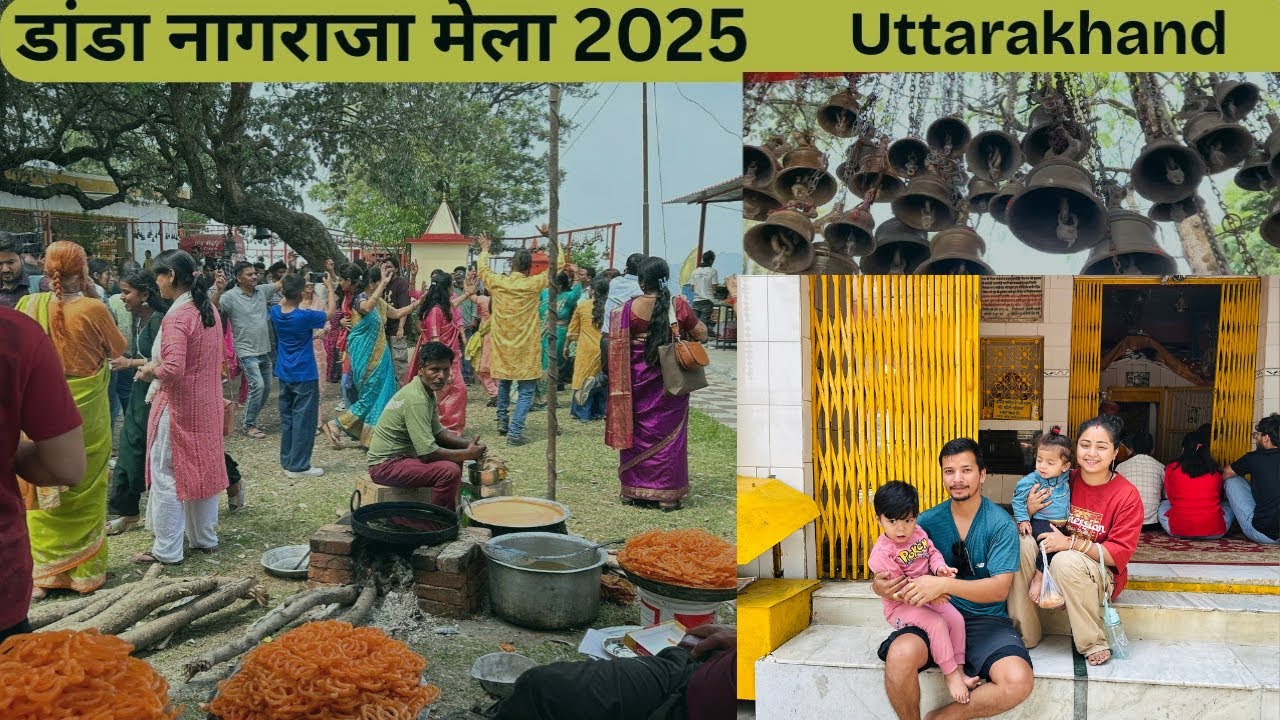 डांडा नागराजा मेला 2025 Vlog | Danda Nagraja Mela | Uttarakhand Danda Nagraja |डांडा नागराजा मन्दिर