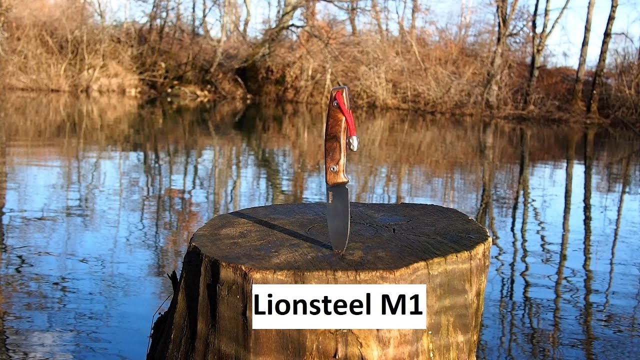 Lionsteel M1