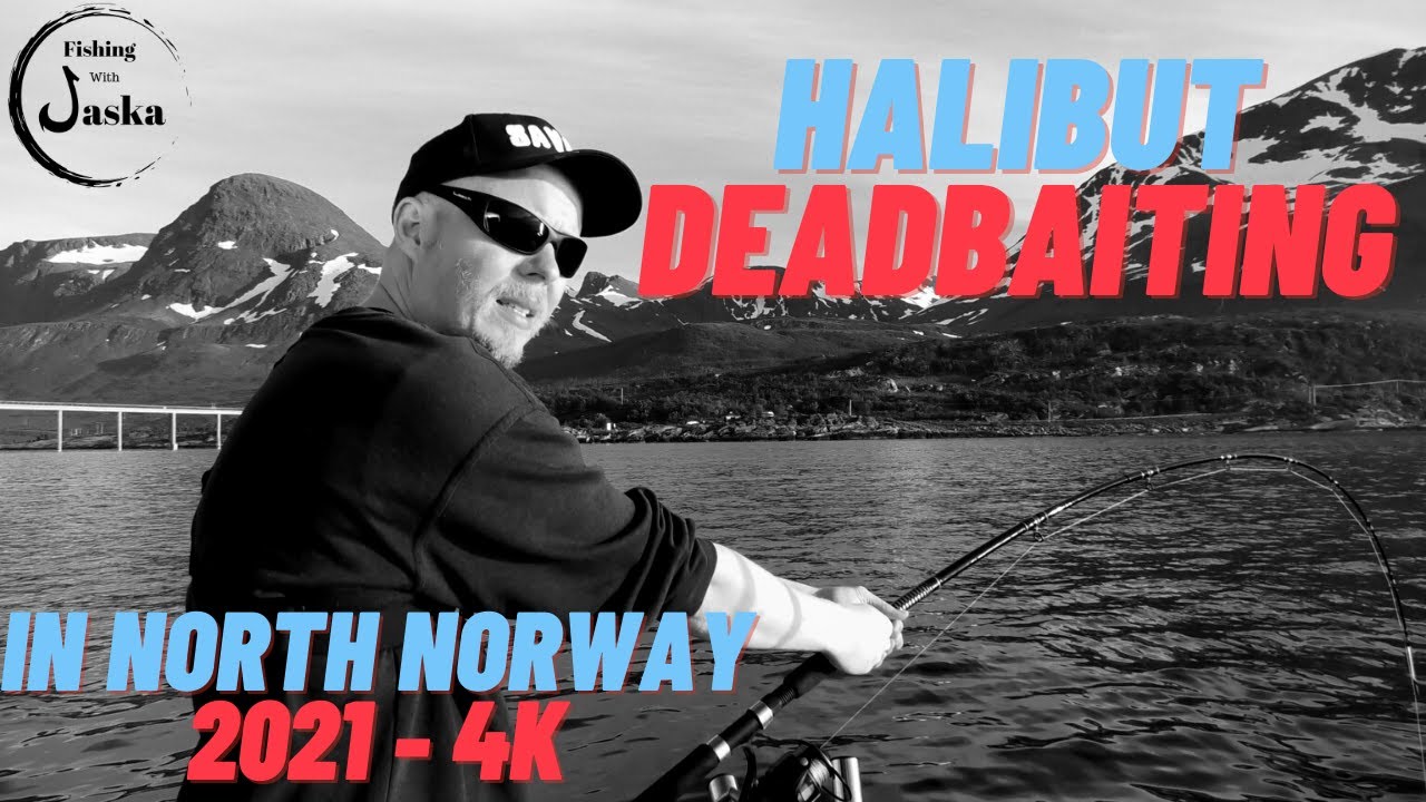 Halibut deadbait fishing in norway 4k 2021