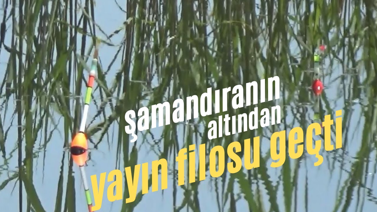 Sivrihisarda İsrail Yayını Avı #BalıkAvı#Kamp#Camping#Fishing