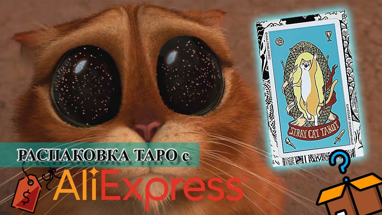Распаковка+первое впечатление таро кошек с алиэкспресс stray cat tarot размер 7*12см!