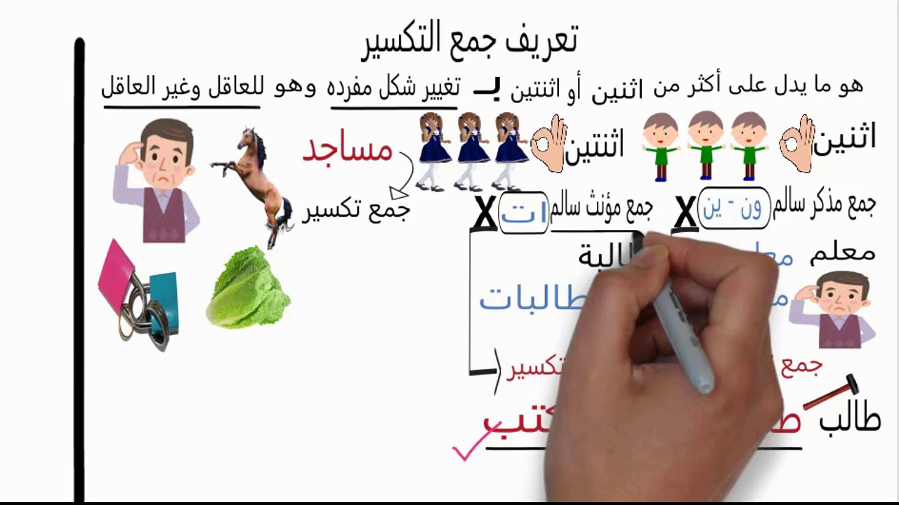 جمع التكسير - علامات إعرابه - استخراجه - بطريقة سهلة -