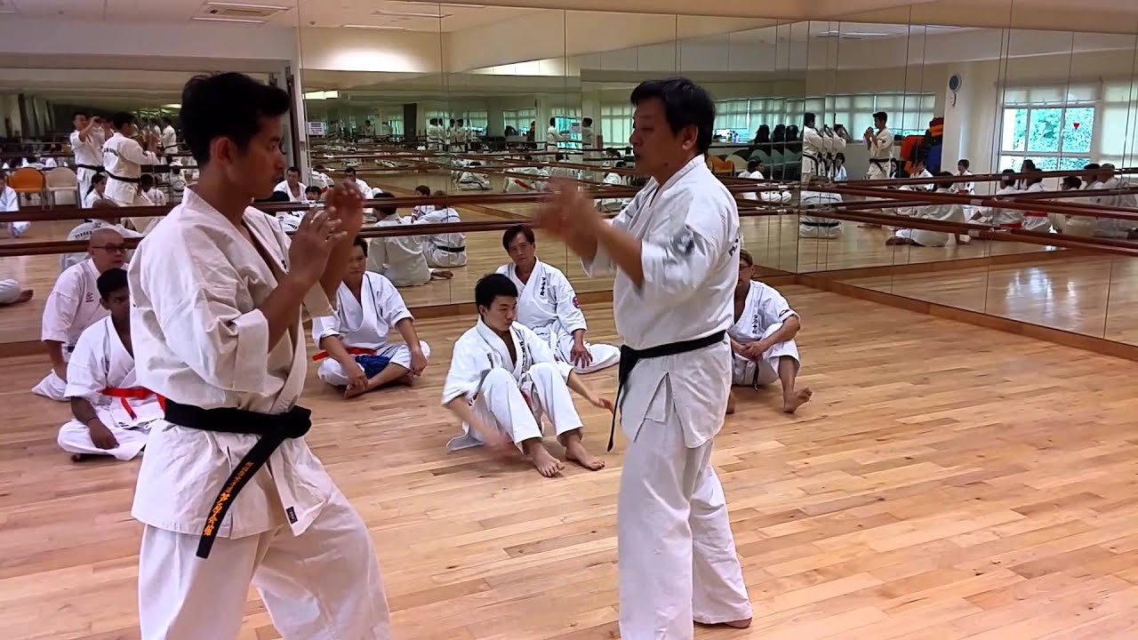 Ashihara Karate: Stopping and Entering