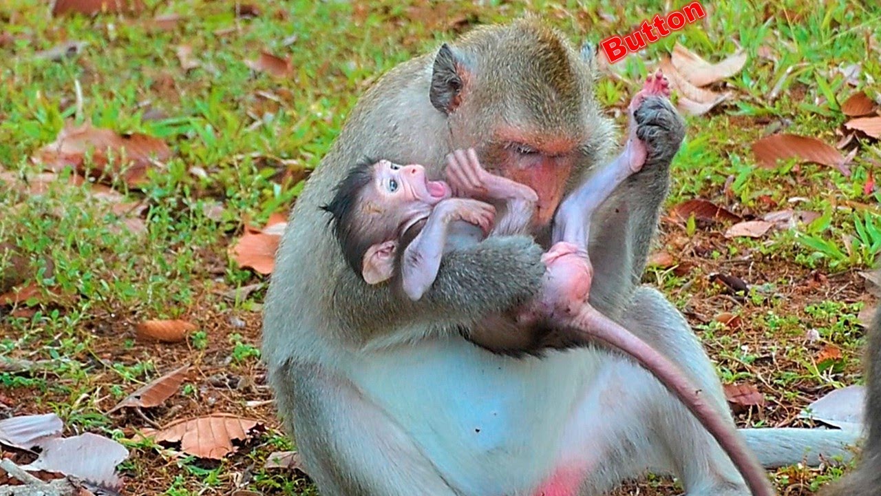 What happened to the adorable baby?