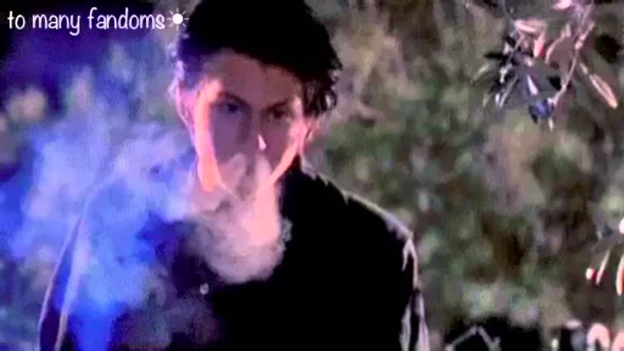 Multimale collab- lose it