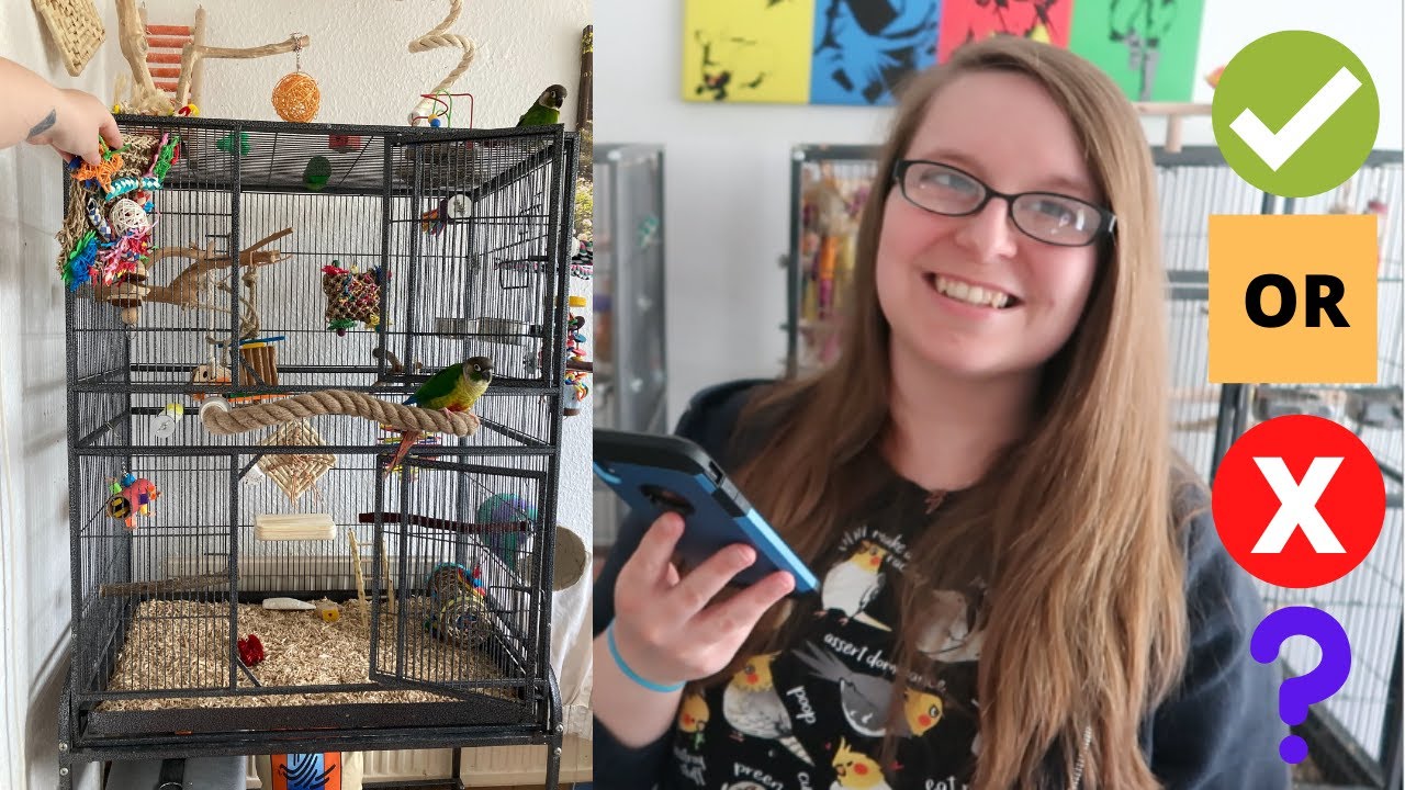 Reacting to My Subscribers’ Bird Cages! #5 | BirdNerdSophie