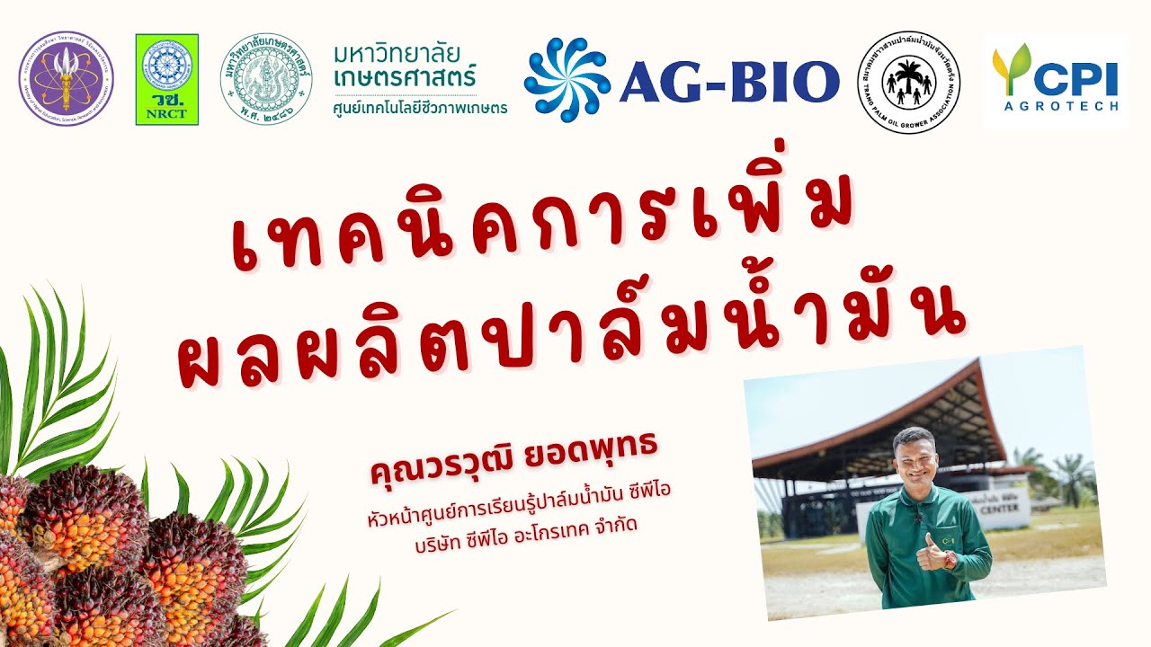 เทคนิคการเพิ่มผลผลิตปาล์มน้ำมัน