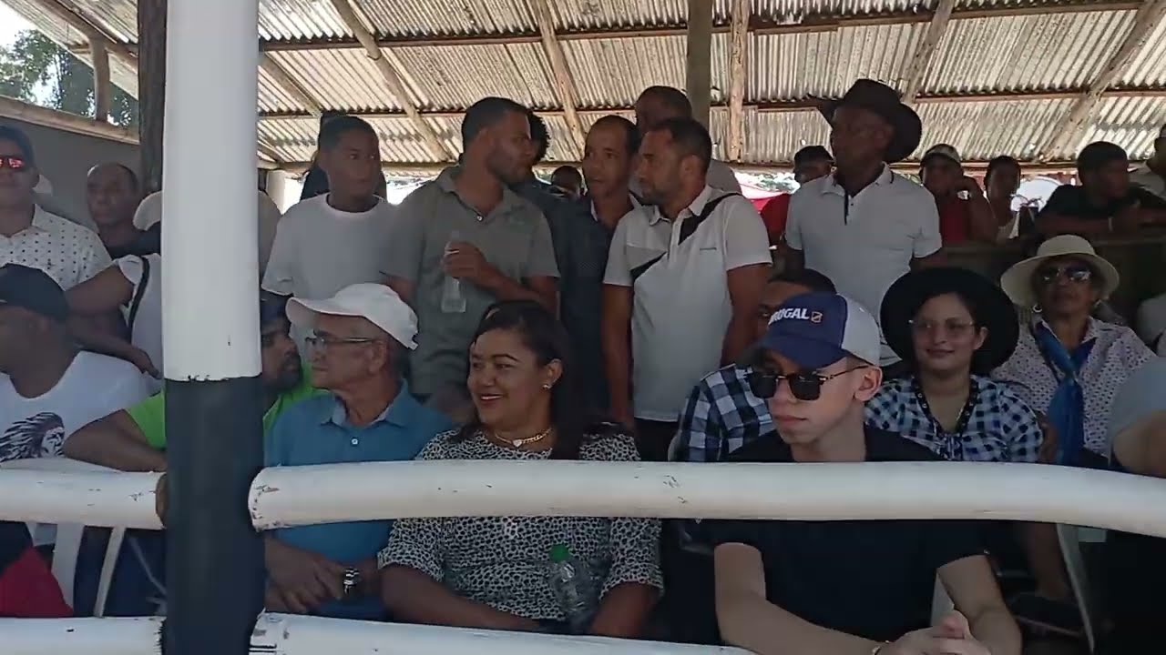 Vacas Subasta Feria Ganadera Eco Turistica El Cupey 2023 Puerto Plata República Dominicana