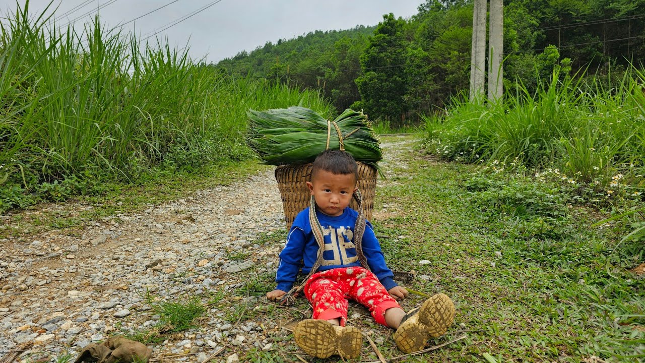 Single mother, 17 years old, takes orphaned child to find giang leaves to sell, Ly Tieu Anh