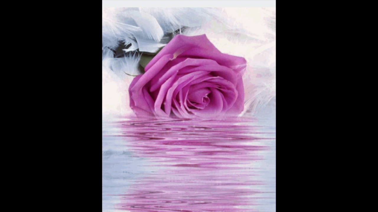 Light language for Feminine expression and appearance (aging, weight etc)