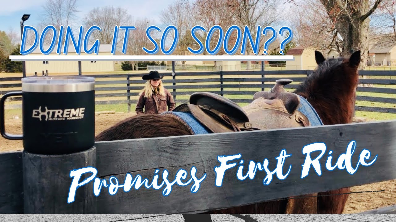 First Ride on a Wild Horse- Extreme Mustang Makeover 2021