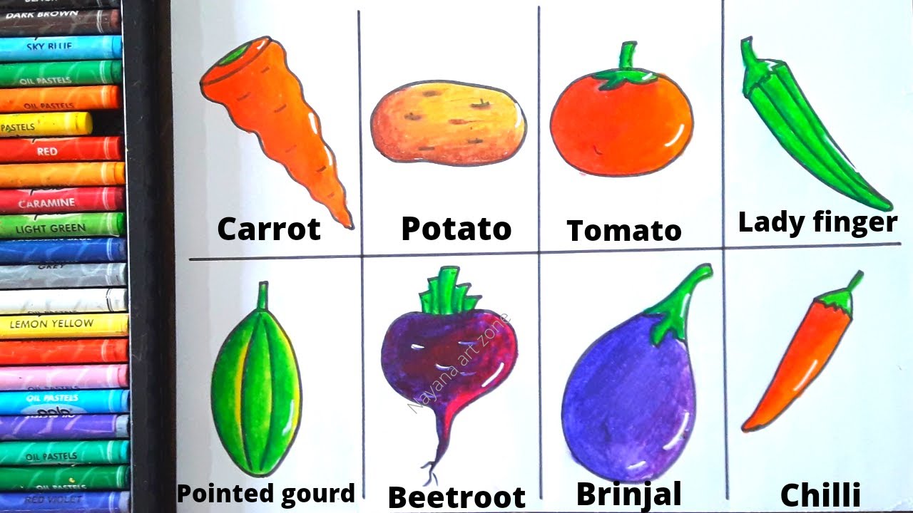 How to draw Vegetables in easy method/Vegetable drawing with colour/different types of vegetables