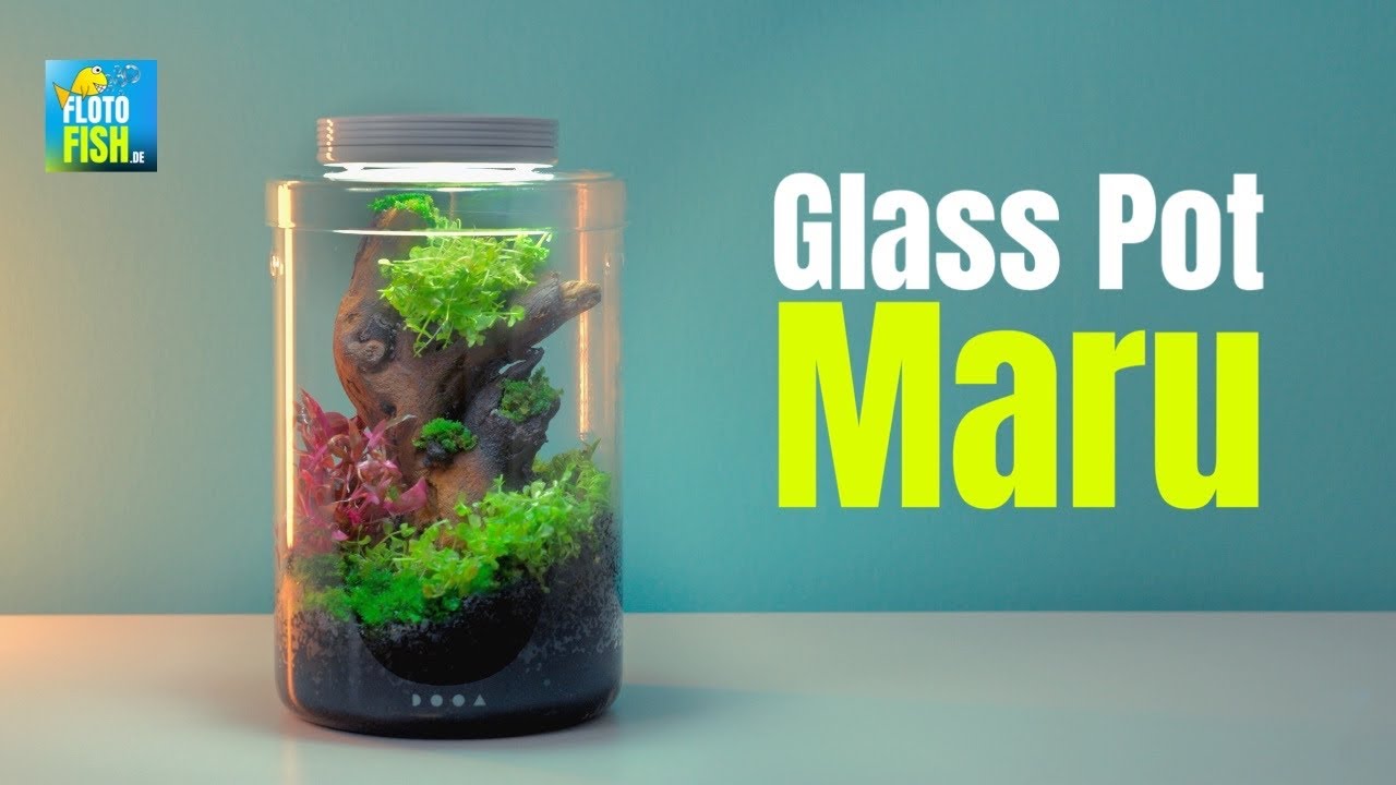Wabikusa Aquarium in a GLASS POT MARU 130 | Tutorial | 4K cinematic