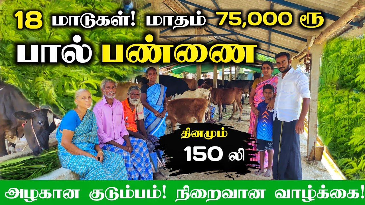 🐄 கிராமத்தில் தனது பொருளாதாரத்தை உயர்த்தி காட்டிய பண்ணையாளர்! பால் பண்ணை! milk farm