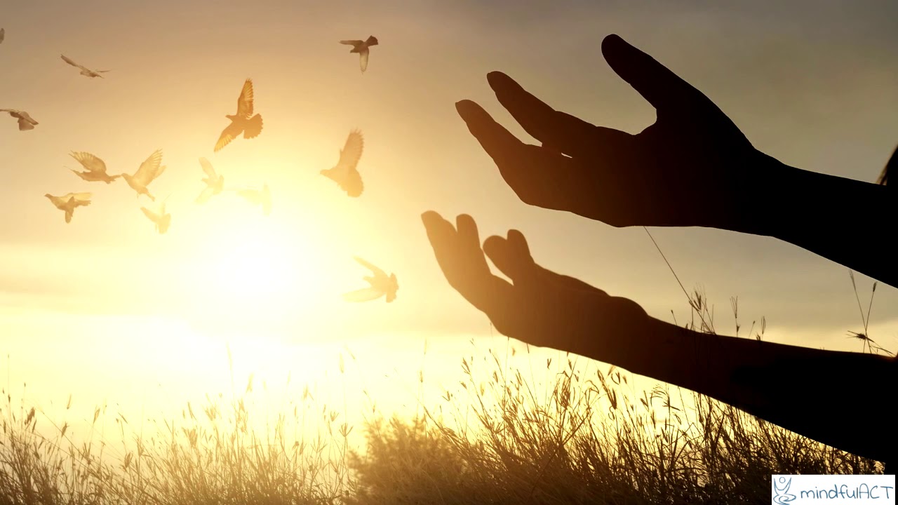 ACT - Acceptance And Commitment Therapy -  come coltivare una vita significativa