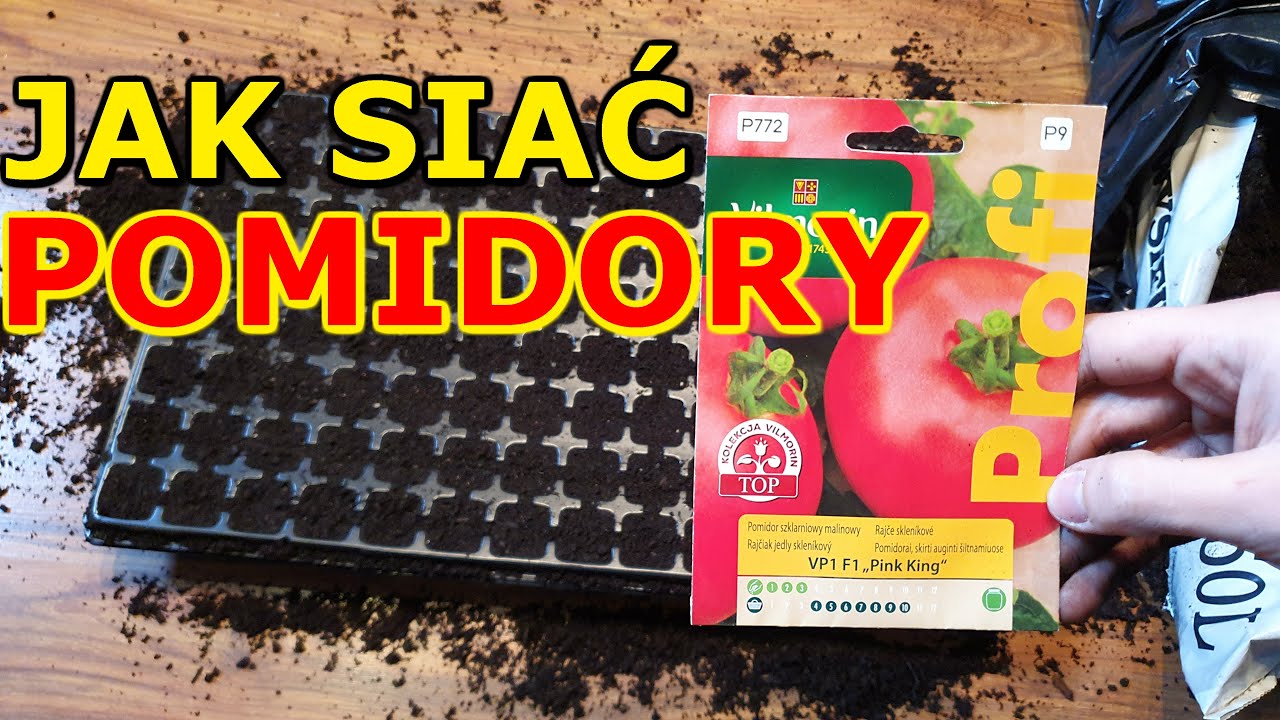 Jak i kiedy siać Pomidory na Rozsadę | Rozsada Pomidor&oacute;w - Siew