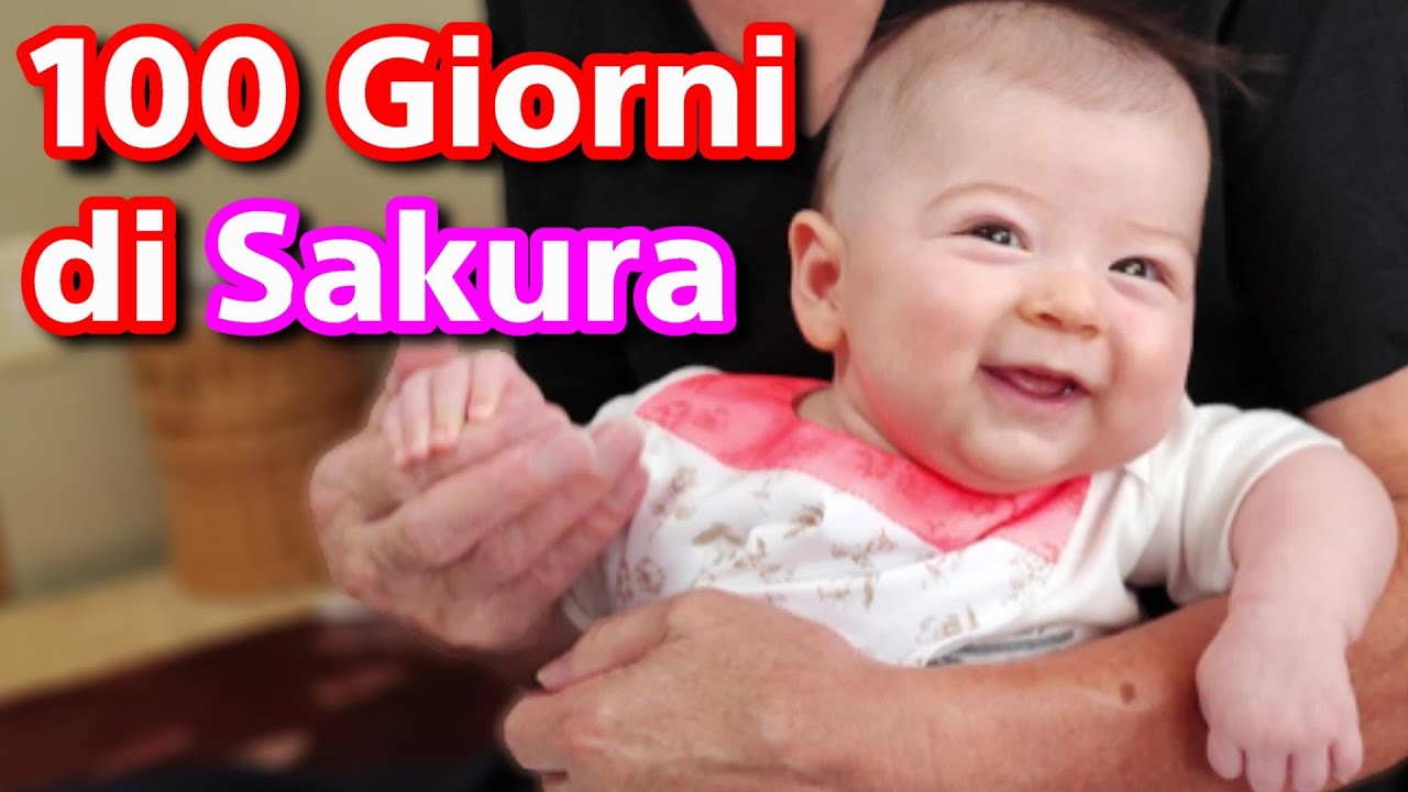 I primi 100 giorni di Sakura! Festeggiamo dal Suocero Samurai! - Vivi Giappone