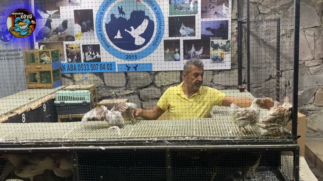 Bu Hintler Kaçmazdı