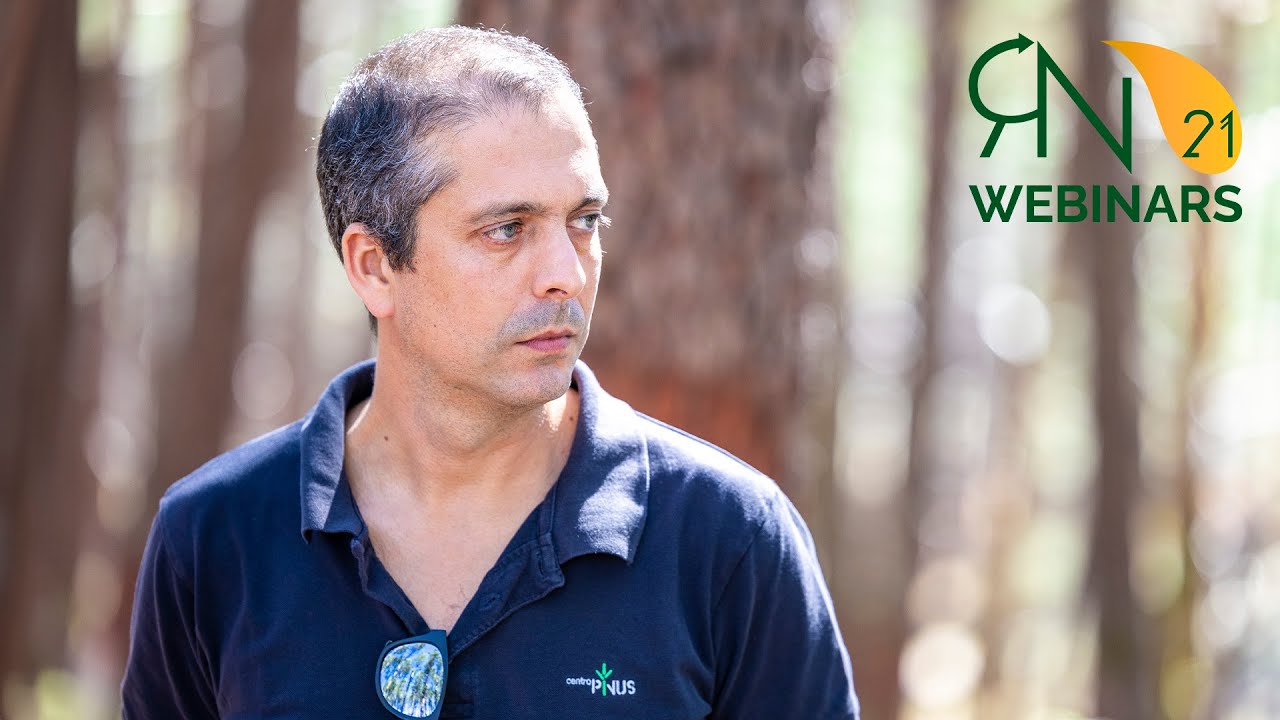 O potencial da Resina Natural para a valorização do pinhal