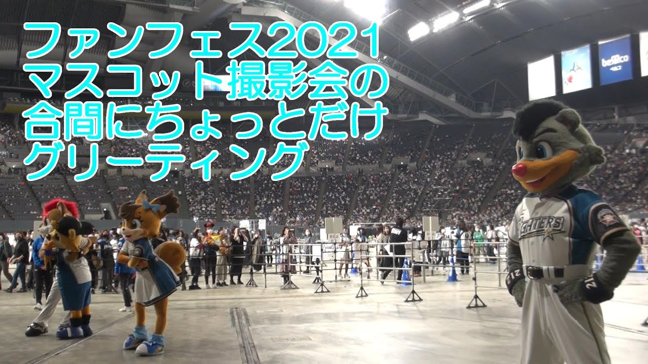20211130 マスコット撮影会の合間にグリーティングをするB☆B・フレップ・ポリーちゃん・カビー