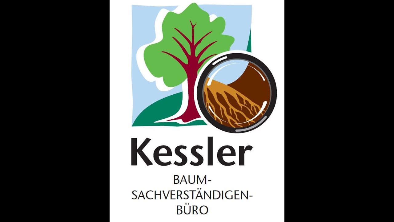 Zugversuch - Inklinomethode - Baumstatik - Kessler Baumsachverständigen-Büro