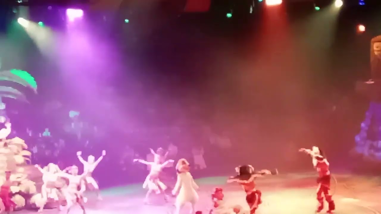 STAGE SHOW@disneyland#hongkong#beautiful