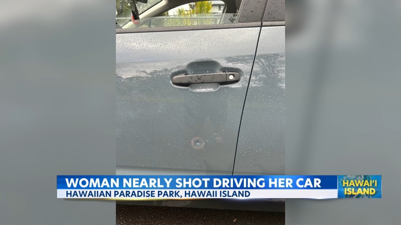 Big Island police investigate pellet shot in residential area
