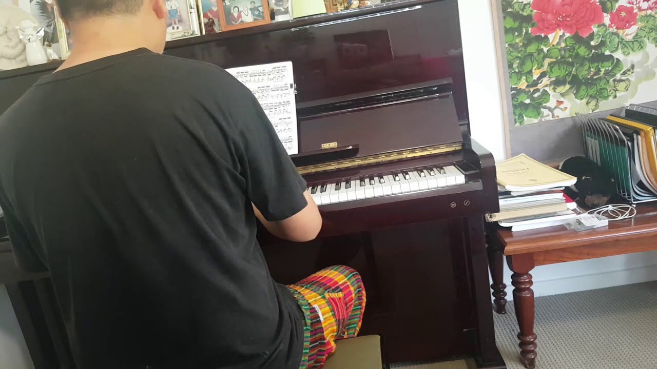 Liszt's Fox Fillet (Transcendental Etude 5)